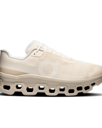 Men Cloudmonster Void